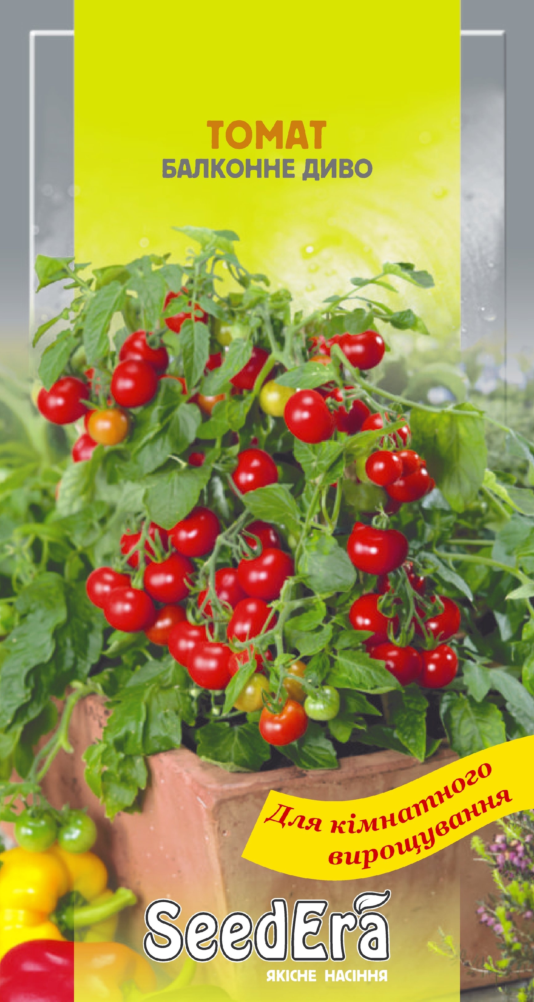 Томат “Балконне диво” – садіть на балконі та насолоджуйтесь смачним врожаєм
